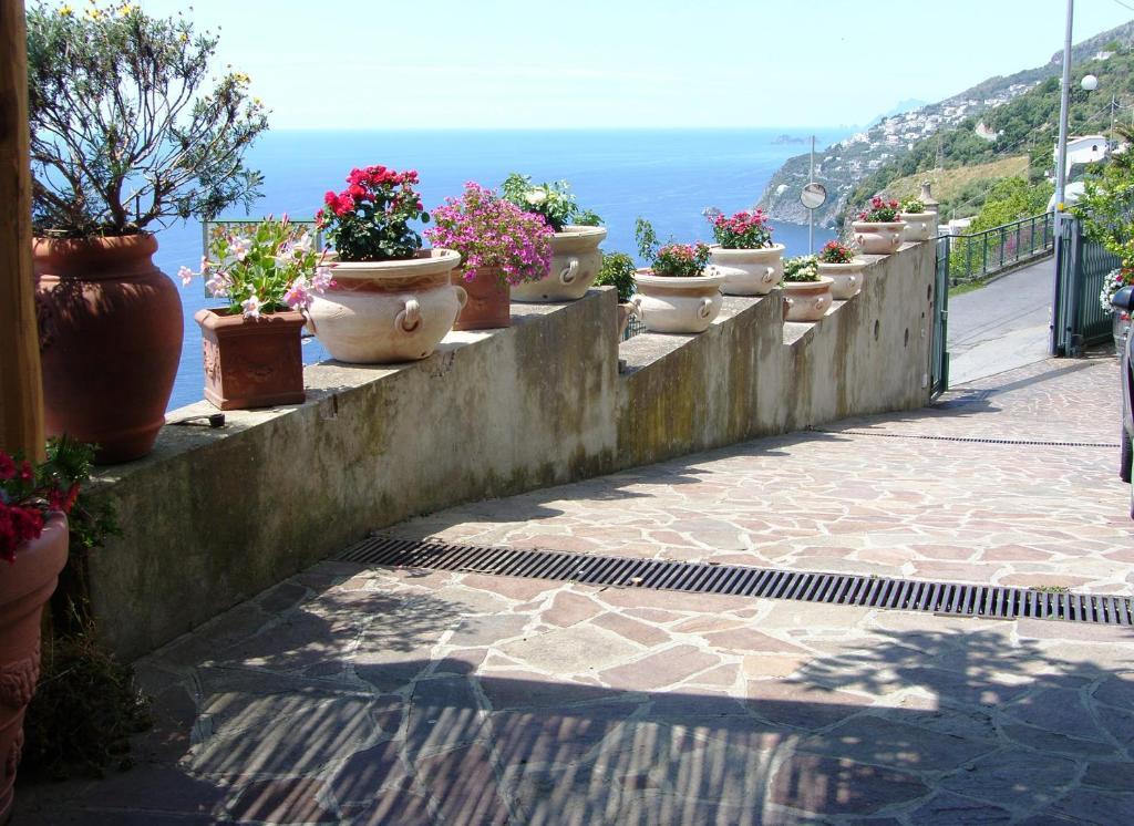 Locanda Degli Agrumi Conca dei Marini Luaran gambar